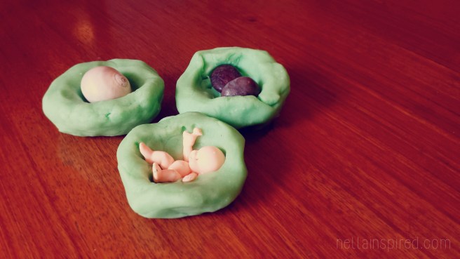 Shells, stones and babies